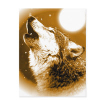 Lonely Wolf Howling at Moon Postcards