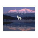 Lonely Wolf postcards