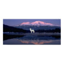 Lonely Wolf posters by Proud_Army_Wife1977 Lonely Wolf posters