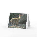 lonelycoyote greeting card