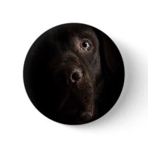 Lonesome dog buttons by REDINARD Lonesome dog buttons