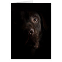 Lonesome dog cards by REDINARD Lonesome dog cards
