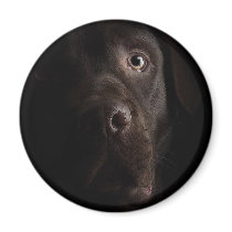 Lonesome dog magnets by REDINARD Lonesome dog magnets