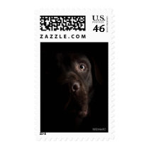 Lonesome dog postage by REDINARD Lonesome dog postage