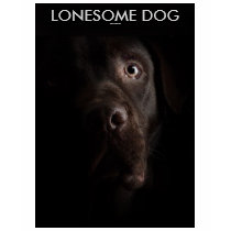 lonesome dog t-shirts by REDINARD lonesome dog t-shirts