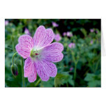 Lonesome Flower - Card