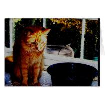 lonesome II cards by sumiko lonesome II cards