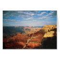 Lonesome Tree cards