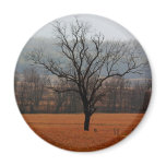 Lonesome Tree magnets