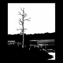 Lonesome Tree posters