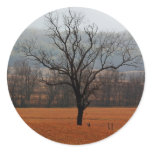Lonesome Tree stickers
