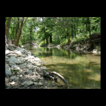 Lonesome Tributary posters