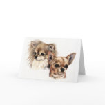 Long and smooth coat chihuahuas cards