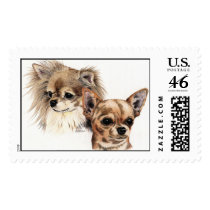 Long and smooth coat chihuahuas postage
