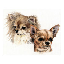Long and smooth coat Chihuahuas posters