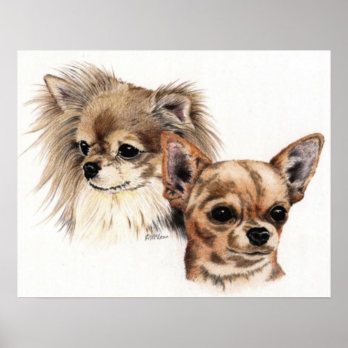 Long and smooth coat Chihuahuas print