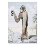 Long Armed Gibbon Ape Art Table Card