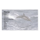 Long-beaked common dolphin business cards