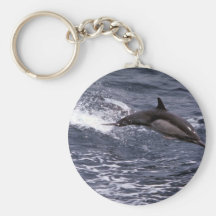 Long-beaked common dolphin keychain