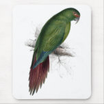Long -Billed Parrakeet-Maccaw by Edward Lear Mouse Mats