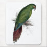 Long -Billed Parrakeet-Maccaw by Edward Lear Mouse Mats