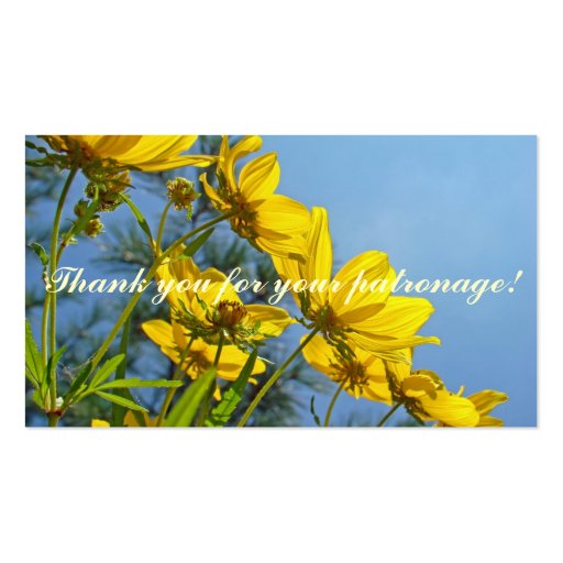 Long-Bracted Tickseed Sunflower Wildflower Business Cards (back side)