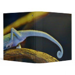 Long Chameleon Tail 3 Ring Binders