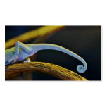 Long Chameleon Tail Business Card Templates