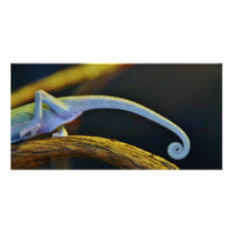 Long Chameleon Tail Photo Greeting Card
