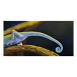 Long Chameleon Tail Photo Greeting Card