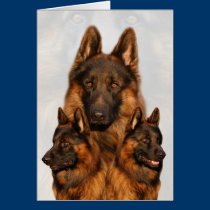 Long Coated German Shepherd Collage Card cards