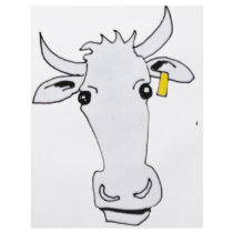 long cow custom flyer