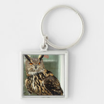 Long Eared Owl Keychain