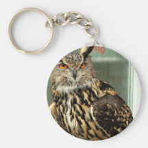 Long Eared Owl Keychain