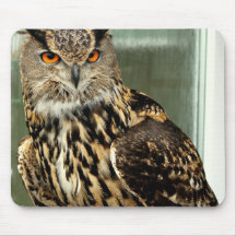 Long Eared Owl Mouse Pad