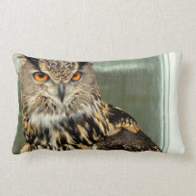 Long Eared Owl Pillow