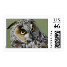 Long Eared Owl Stamp
