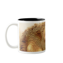 Long Eared Sheep Dolomites, Italy Coffee Mug