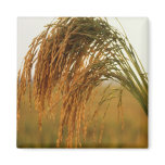 Long Grain Rice Magnets