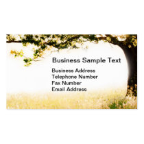 Long grass and tree in morning light business cards
