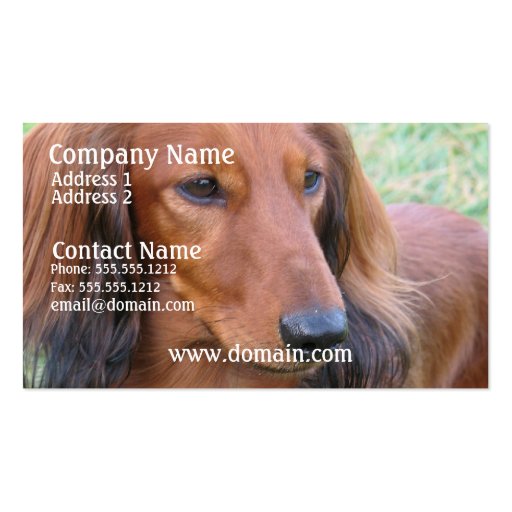 Long Hair Dachshund Business Card (front side)