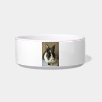 Long Haired Bunny Rabbit Pet Bowl Cat Bowls