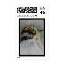 Long Haired Calico Cat postage