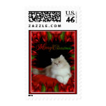 Long Haired Cat - Merry Christmas Stamp