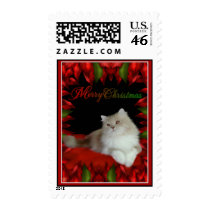 Long Haired Cat - Merry Christmas Stamp