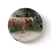 Long Haired Cattle buttons