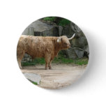 Long Haired Cattle Pin
