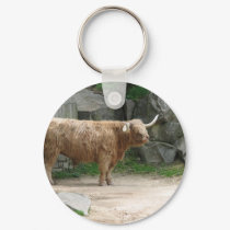 Long Haired Cattle keychains