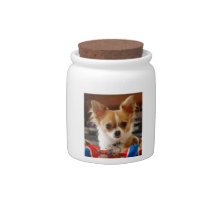 Long Haired Chihuahua Dog Treat Candy Jar