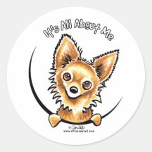 Long Haired Chihuahua IAAM Round Stickers
